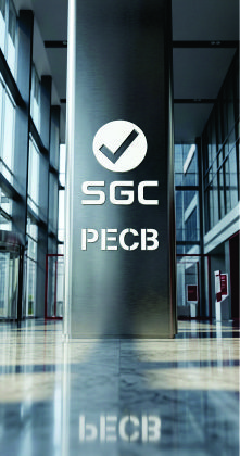 Defender el programa ante gerencia: control y decisiones